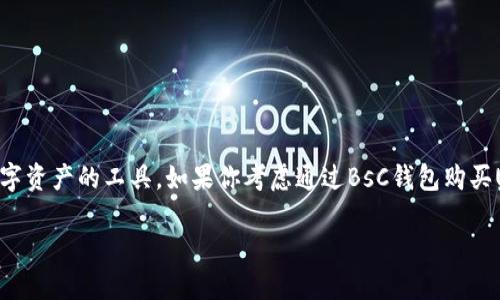 购买USDT的简单指南：使用BsC钱包的步骤

在加密货币市场中，USDT（泰达币）是一个非常重要的稳定币，通常被用作交易其他数字资产的工具。如果你考虑通过BsC钱包购买USDT，那么这篇指南将为你提供详尽且易于理解的步骤和解释，帮助你顺利完成交易。

如何在BsC钱包购买USDT：详细步骤与建议