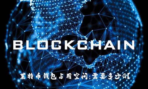 莱特币钱包占用空间：需要多少G？