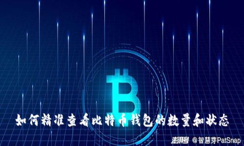 如何精准查看比特币钱包的数量和状态