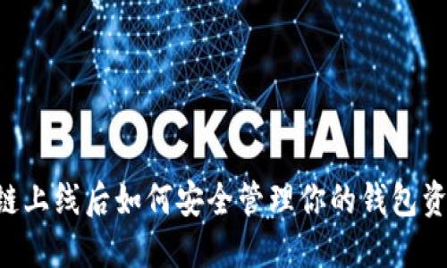 主链上线后如何安全管理你的钱包资产？