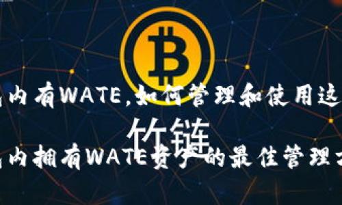 以太坊钱包内有WATE，如何管理和使用这笔数字资产

以太坊钱包内拥有WATE资产的最佳管理方法