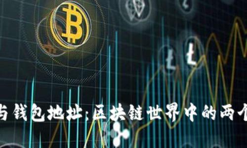 合约地址与钱包地址：区块链世界中的两个关键概念