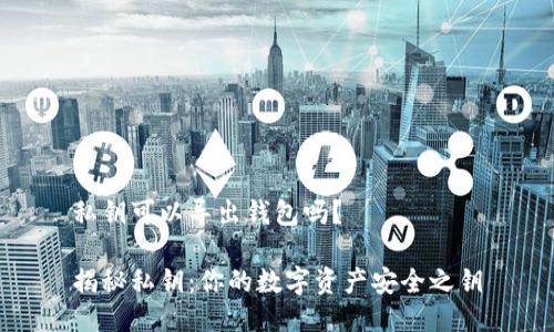 私钥可以导出钱包吗？

揭秘私钥：你的数字资产安全之钥