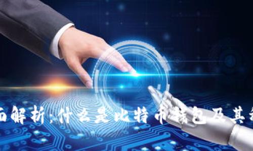 全面解析：什么是比特币钱包及其种类
