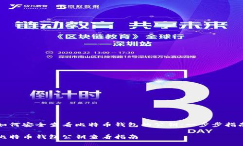 如何安全查看比特币钱包的公钥：一步步指南

比特币钱包公钥查看指南