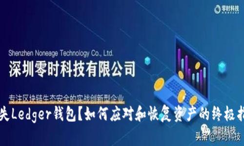 丢失Ledger钱包？如何应对和恢复资产的终极指南