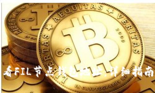 如何查看FIL节点钱包地址：详细指南与技巧