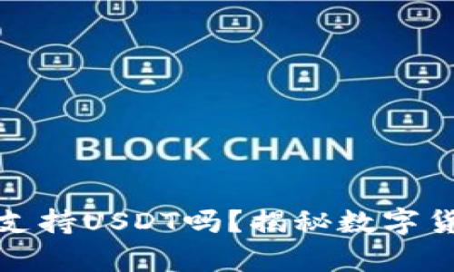 库神钱包究竟支持USDT吗？揭秘数字货币钱包之选择