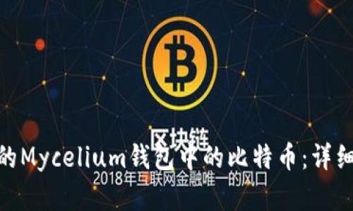 : 如何找回消失的Mycelium钱包中的比特币：详细指南与贴心建议