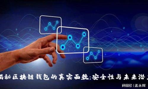 揭秘区块链钱包的真实面貌：安全性与未来潜力