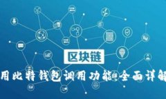 如何有效使用比特钱包调用功能：全面详解与实