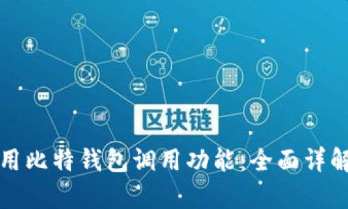 如何有效使用比特钱包调用功能：全面详解与实用指南