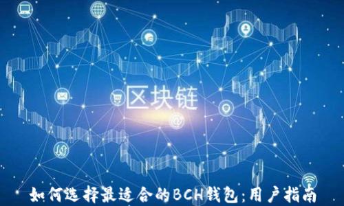 
如何选择最适合的BCH钱包：用户指南