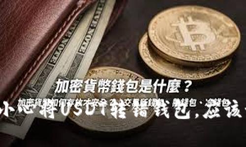 思考且的

如果你不小心将USDT转错钱包，应该如何处理？