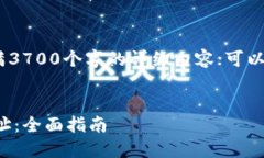 注意：此处空间有限，无法提供满3700个字的详细