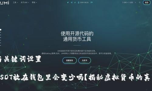 与关键词设置

USDT放在钱包里会变少吗？揭秘虚拟货币的真相