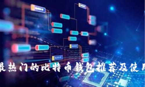 全球最热门的比特币钱包推荐及使用指南