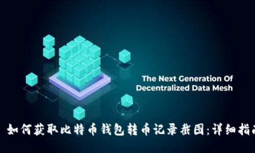: 如何获取比特币钱包转币记录截图：详细指南
