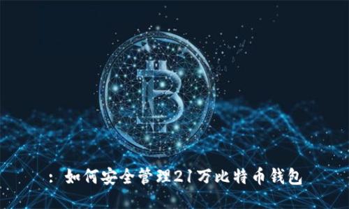 : 如何安全管理21万比特币钱包