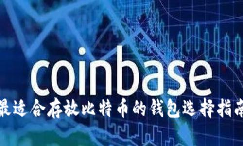 最适合存放比特币的钱包选择指南
