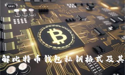 深入了解比特币钱包私钥格式及其安全性