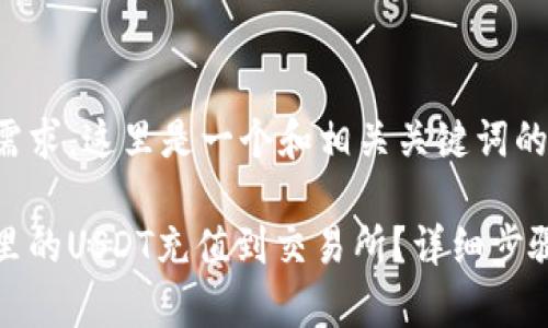 考虑到用户需求，这里是一个和相关关键词的示例：

如何将钱包里的USDT充值到交易所？详细步骤与注意事项