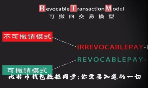 比特币钱包数据同步：你需要知道的一切