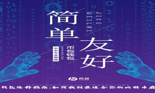 比特币钱包选择指南：如何找到最适合你的比特币存储方案
