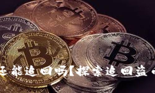 以太坊钱包被盗还能追回吗？探索追回盗币的可能性与挑战